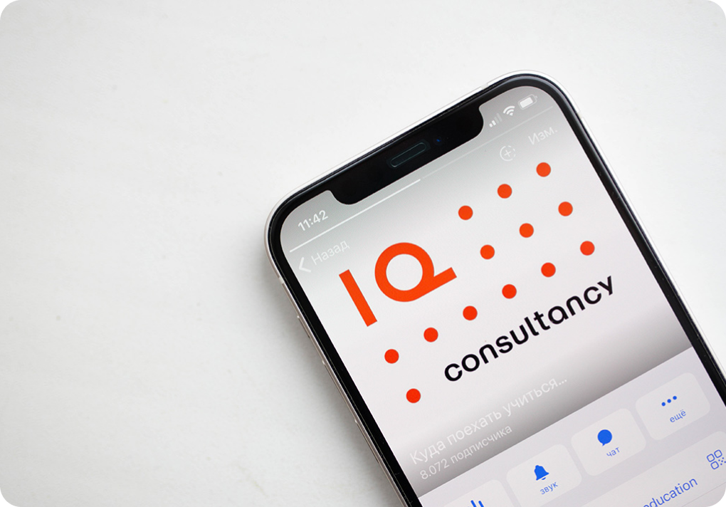 IQ Consultancy